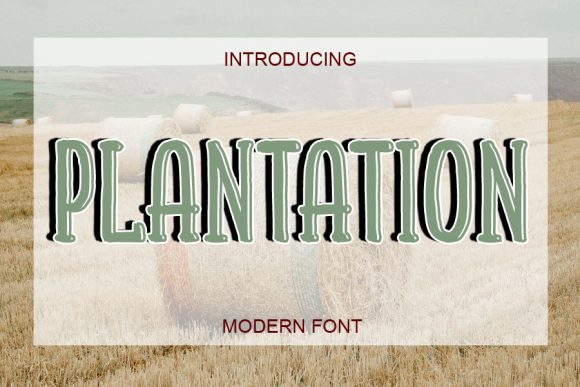 Plantation Font for Professional and Memorable Branding